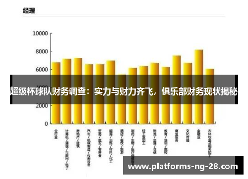 超级杯球队财务调查:实力与财力齐飞,俱乐部财务现状揭秘 超级杯球队财务调查:实力与财力齐飞,俱乐部财务现状揭秘