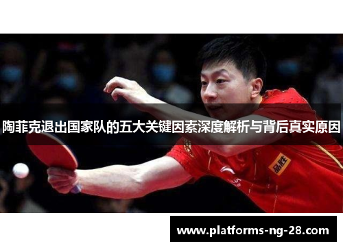 陶菲克退出国家队的五大关键因素深度解析与背后真实原因 陶菲克退出国家队的五大关键因素深度解析与背后真实原因