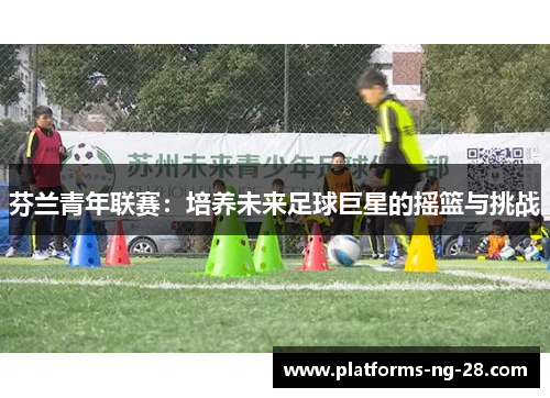 芬兰青年联赛:培养未来足球巨星的摇篮与挑战 芬兰青年联赛:培养未来足球巨星的摇篮与挑战